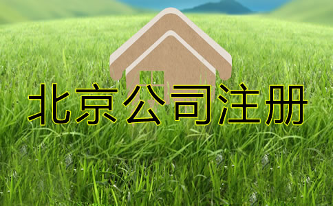 怎么注冊一個北京一人有限公司？